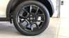 2022 Suzuki Ignis 1.2 Dualjet 12V Hybrid SZ5 5dr Thumbnail